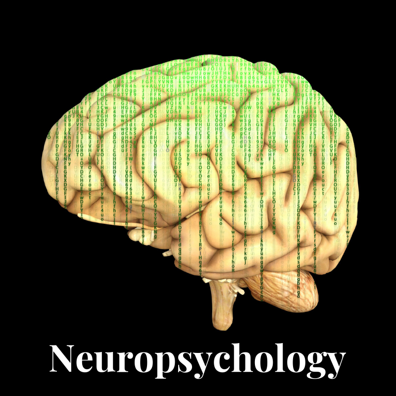 Neuropsychology title
