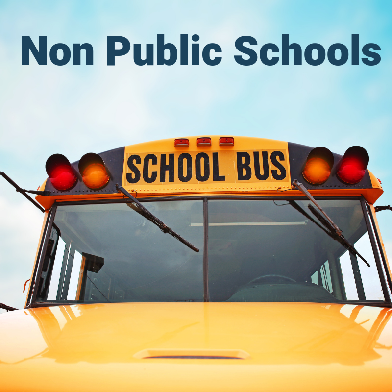 non-public schools